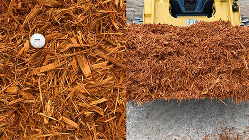 Gold Stained Wood Mulch